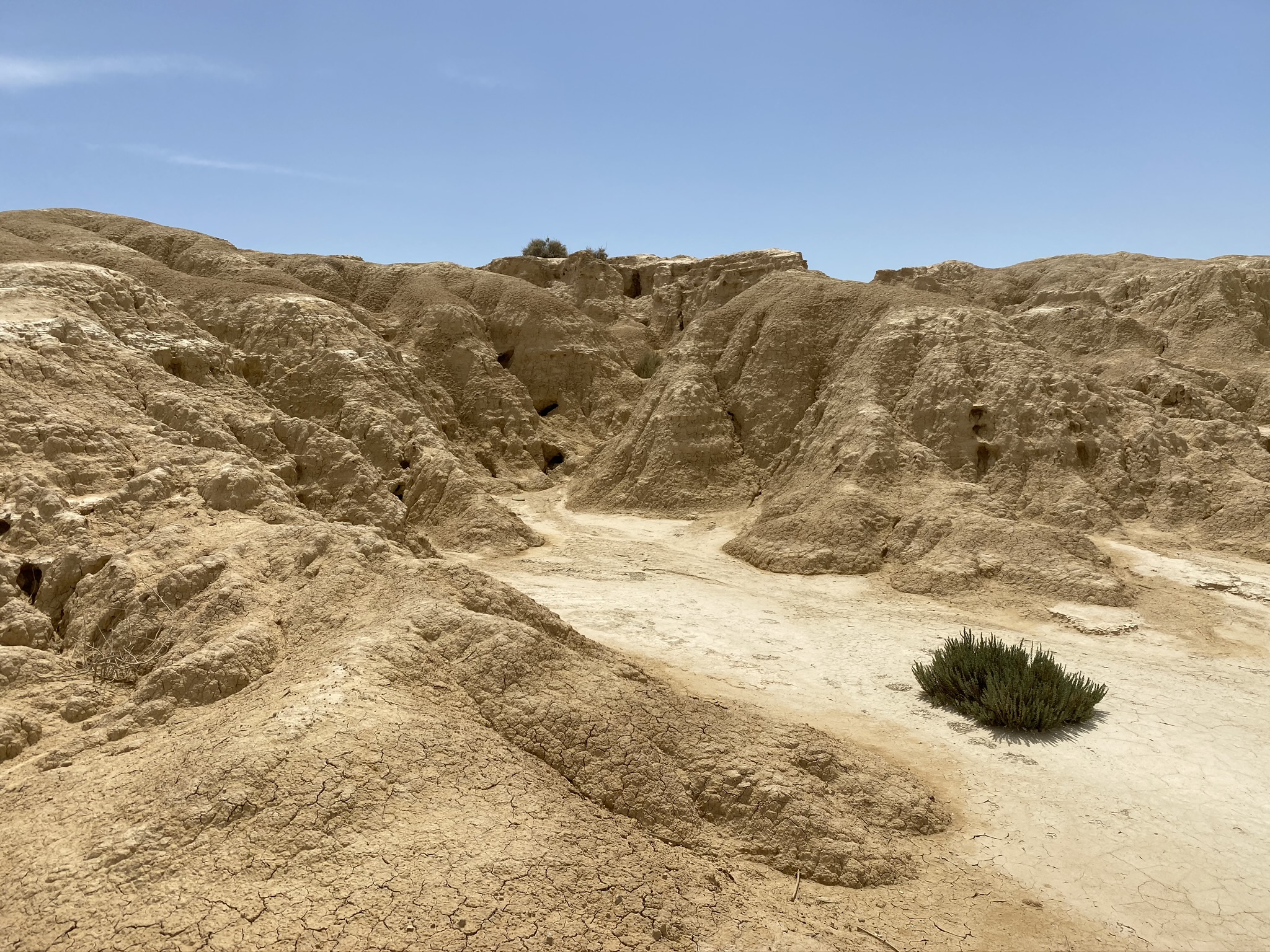 photo du desert des bardenas par joyeux voyageurs